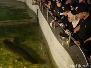 Pengumuman! Surabaya Night Zoo Resmi Akan Dibuka Minggu 25 Juni 2023