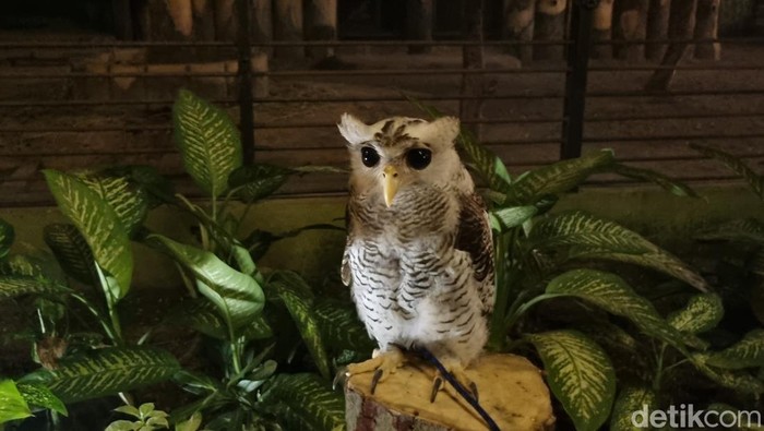 surabaya night zoo