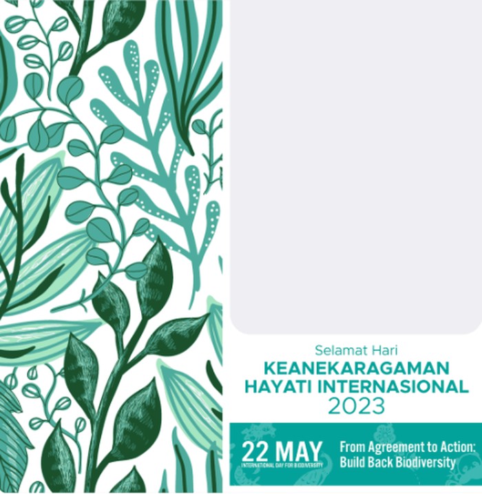 Hari Keanekaragaman Hayati 2023 diperingati pada 22 Mei. Kamu bisa menggunakan Twibbon Hari Keanekaragaman Hayati 2023 untuk merayakannya. Cek daftar linknya!