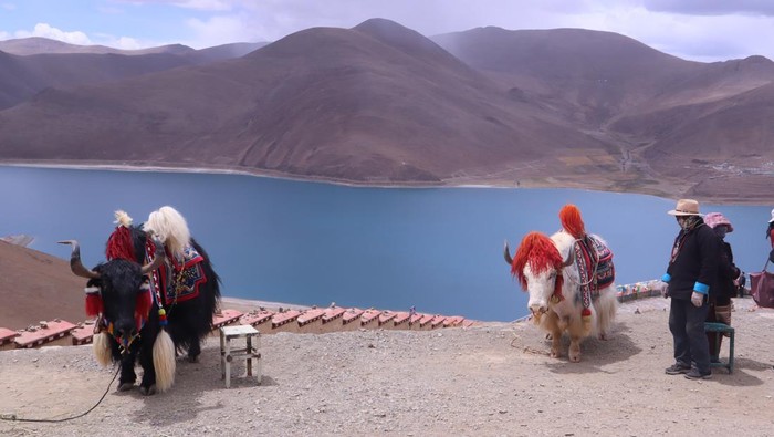 Para pengunjung mengabadikan pemandangan Danau Yamdrok, Daerah Otonomi Tibet, China, Minggu (21/5/2023). Danau sepanjang 72 kilometer di atas ketingian 5.000 meter dari permukaan laut tersebut merupakan salah satu dari tiga danau suci masyarakat Buddha Tibet. (ANTARA FOTO/M. Irfan Ilmie)