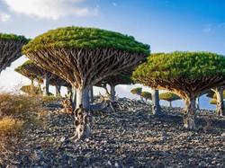 Pulau Berjuluk Tempat Dajjal Sembunyi, 3 WNI Terjebak di Sana