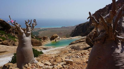 Disebut Tempat Dajjal Sembunyi, Begini Penampakan Pulau Socotra