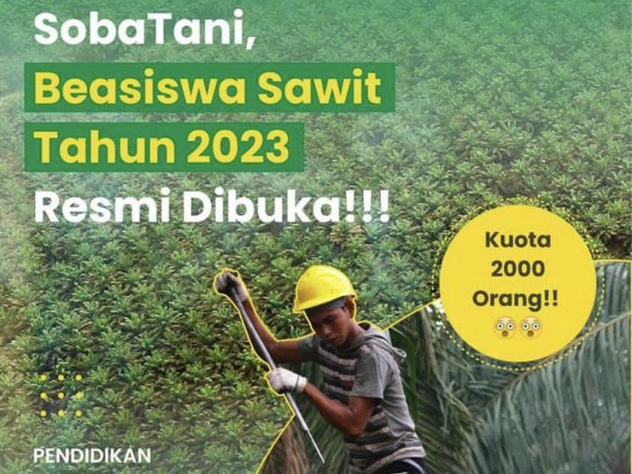 Flyer beasiswa sawit 2023 Kementerian Pertanian. (Foto: Istimewa)