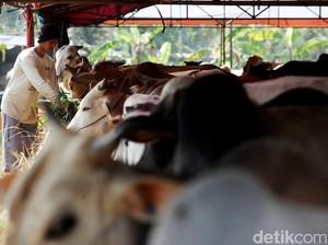 Kapan Idul Adha 2023? Berikut Jadwal Versi Muhammadiyah dan Pemerintah