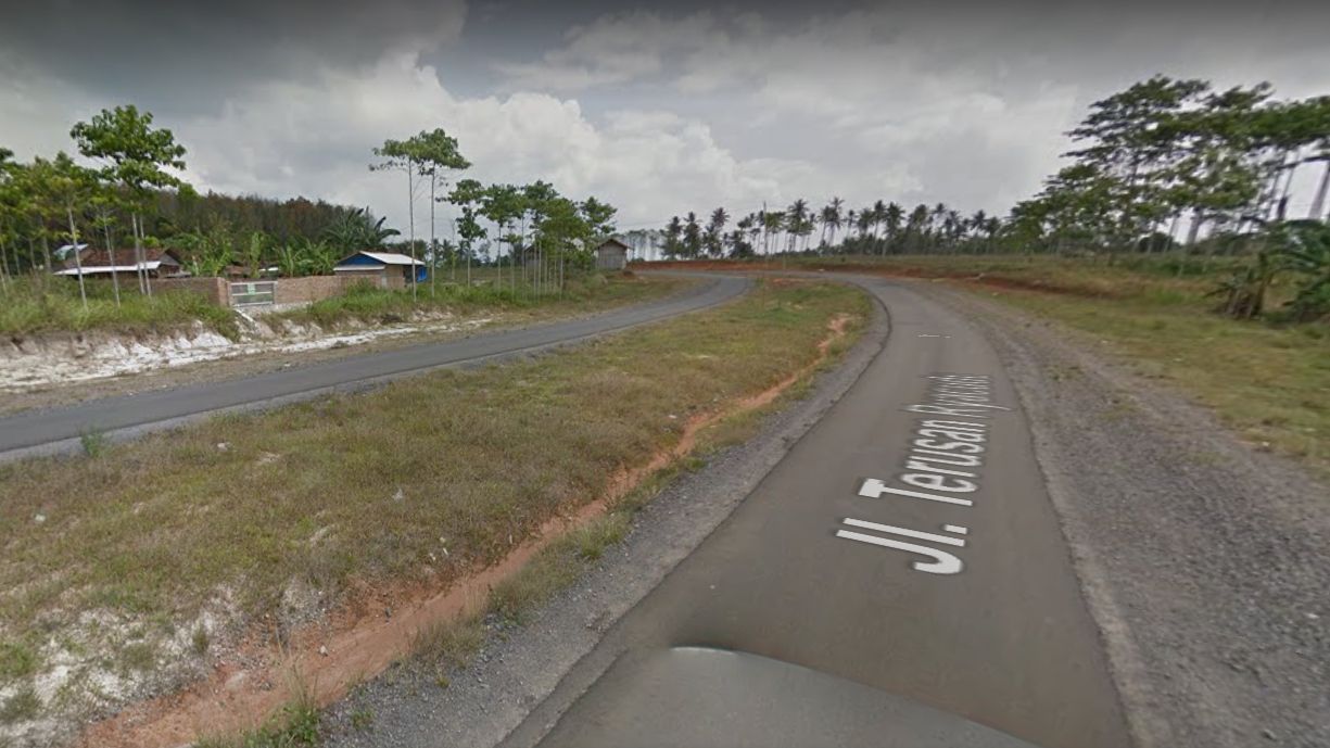 Jalan Terusan Ryacudu Lampung di Google Street View, Juli 2015