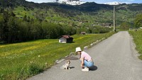 Lee Da Hae sedang bermain-main dengan anjing di sebuah jalan setapak di bawah indahnya langit biru Swiss. (Foto: dok. Instagram @leedahey4eva)  