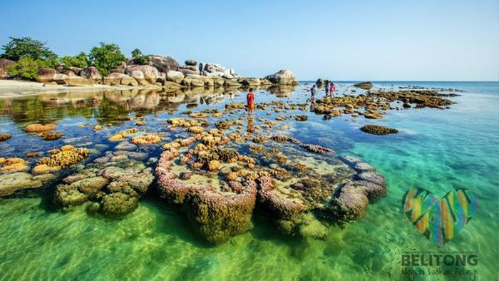 Pantai Tanjung Tinggi