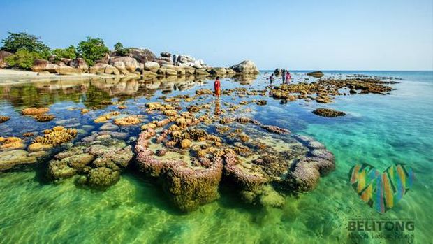 Pantai Tanjung Tinggi