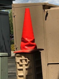 Pareidolia