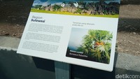 Rumah Kaca Biodiversitas Tropika Nasional Terpadu akan segera dibuka tahun ini. Masyarakat umum bisa mampir untuk melihat koleksi tumbuhan dari berbagai wilayah di Indonesia. (Foto: Nikita Rosa/detikedu)