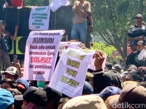 Tak Dapat Pupuk Subsidi, Petani Ijen Bondowoso Ancam Golput di Pemilu 2024