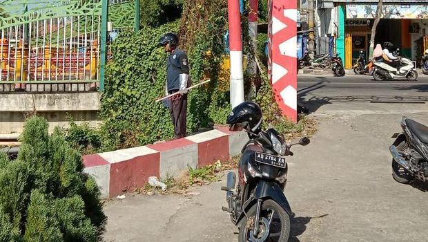 viral buaya di pamekasan