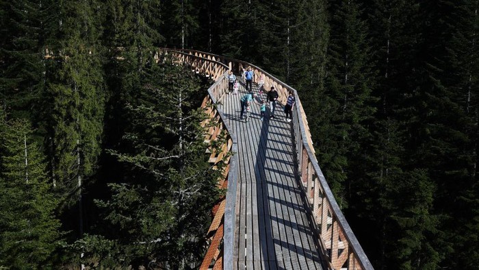 WAKSMUND, POLAND - MAY 5: A general view of the 'Gate of Gorce' footpath through the trees in Waksmund, Poland on May 5, 2023. Newly opened tourist attraction is the another one wooden path and viewpoint in the Polish mountains but also an educational center with displays about the local nature. (Photo by Jakub Jan Porzycki/Anadolu Agency via Getty Images)