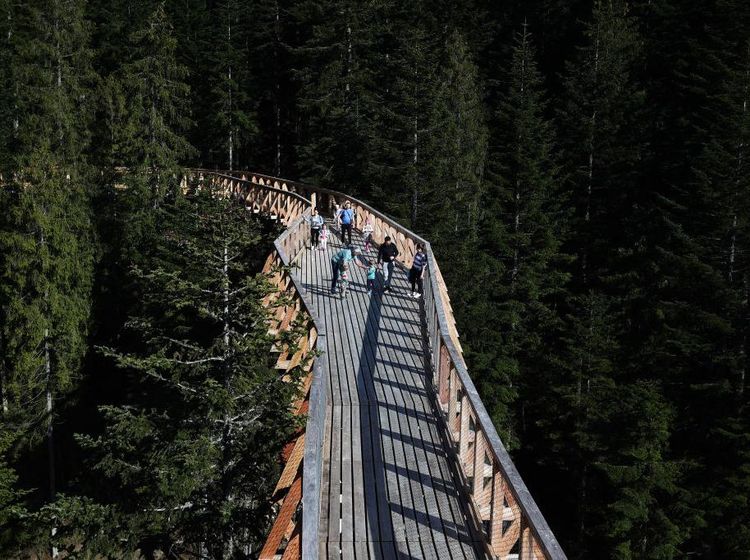 Polandia Punya Skywalk Sepanjang 1.300 Meter di Tengah Pegunungan
