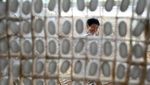 Mengintip Panen Ulat Sutera di China