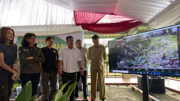 Acara pelepas liaran macan Jawa di TN Gunung Halimun Salak (Devi-detikcom)