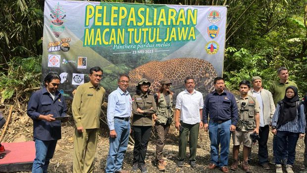 Acara pelepas liaran macan Jawa di TN Gunung Halimun Salak (Devi-detikcom)