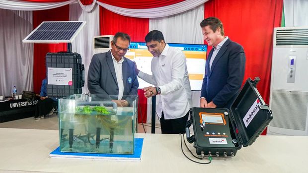 Digitalisasi Mangrove Indosat Ooredoo Hutchison dan GSMA di Tarakan, Kalimantan Utara.