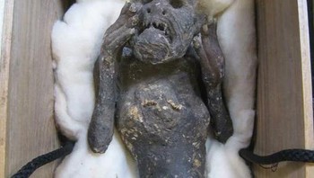 Mumi putri duyung berusia 300 tahun dengan wajah dan ekor manusia dikatakan memberikan keabadian kepada siapa pun yang mencicipi dagingnya. Foto: Twitter/creepy_org