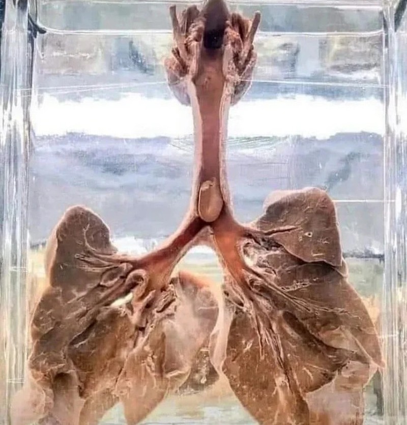 Foto Seram Bikin Merinding