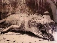 Foto Seram Bikin Merinding
