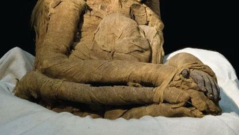 Sebuah mumi Babon ditemukan dari Kuil Khons di Luxor, Mesir. Itu berasal dari periode Kerajaan Baru, dari 1550 SM hingga 1069 SM. Orang Mesir memuja Babon Hamadryas sebagai salah satu perwujudan Thoth, Dewa Bulan dan kebijaksanaan serta penasihat Ra, Dewa Matahari. Foto: Twitter/creepy_org Foto: Twitter/creepy_org