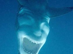 Kumpulan Foto Bukan Penampakan Hantu Tapi Seram, Beberapa Bikin Merinding