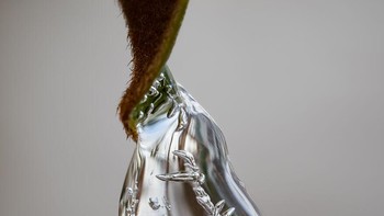 Karya Morey Gers. Gambar ini dibuat pada hari musim dingin yang membekukan di St. Louis, MO, AS, sambil mencari tetesan es yang menarik di pohon magnolia di halaman belakang rumah saya. Tetesan es ini, menunjukkan formasi kristal internal, hanya berukuran sekitar sepertepat inch panjangnya. Foto: cupoty.com