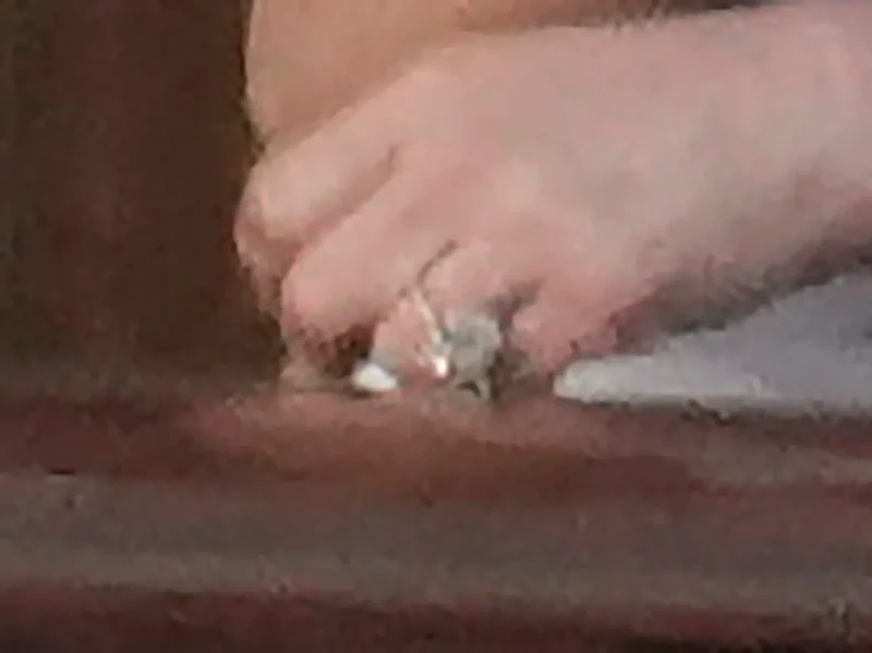 Lauren Sanchez tunangan