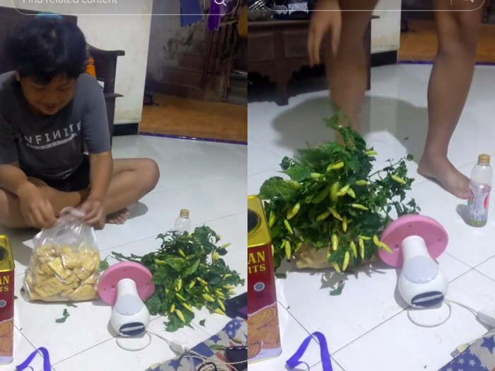 Makan gorengan pakai cabe satu pohon