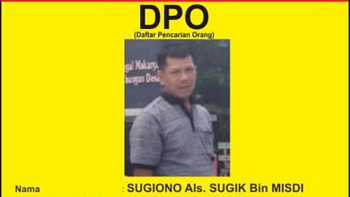 Otak pembalakan kayu Sonokeling di Trenggalek jadi DPO