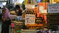 Harga acuan pembelian (HAP) untuk telur ayam di tingkat konsumen berdasarkan aturan pemerintah, Rp 27.000/kg.