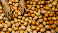 Hal ini membuat penjual telur berkurang, stok di pasar pun jadi kurang, makanya harga telur ayam mahal.