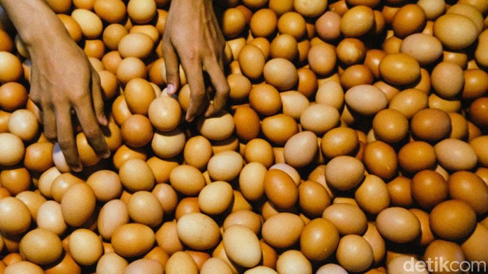 Harga telur ayam negeri masih terpantau tinggi di Jakarta. Hari ini, harga telur mencapai Rp 30.500 per kilogram.
