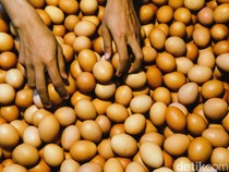 Harga Sembako Jogja Hari Ini 10 Juni 2025: Telur Ayam Ras Naik Tipis Banget!