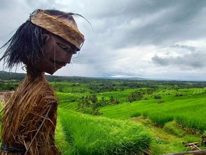 Lari Lintas Alam Warnai Jatiluwih Festival IV