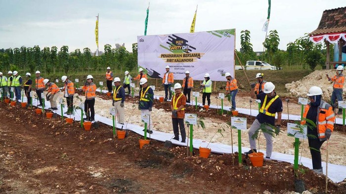 SIG berupaya pemanfaatan bahan bakar alternatif sebagai energi baru terbarukan (EBT). Mereka menanam 143 ribu batang pohon kaliandra merah.
