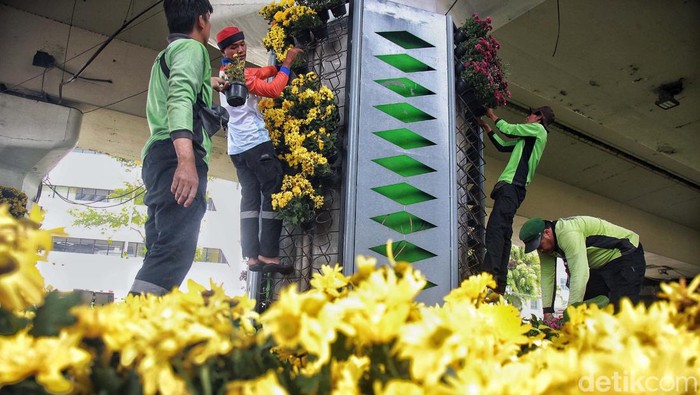 Wajah Ibu Kota Dipercantik Jelang HUT Ke-496 Menyambut HUT DKI Jakarta ke-496 pada 21 Juni mendatang, setiap sudut kota mulai mempercantik diri. Salah satunya adalah perbaikan taman kota.