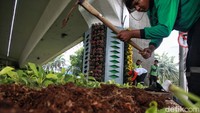 Petugas Dinas Pertamanan dan Hutan Kota mengganti tanaman hijau di Jl Jenderal Sudirman, Jakarta, Selasa (23/5/2023).