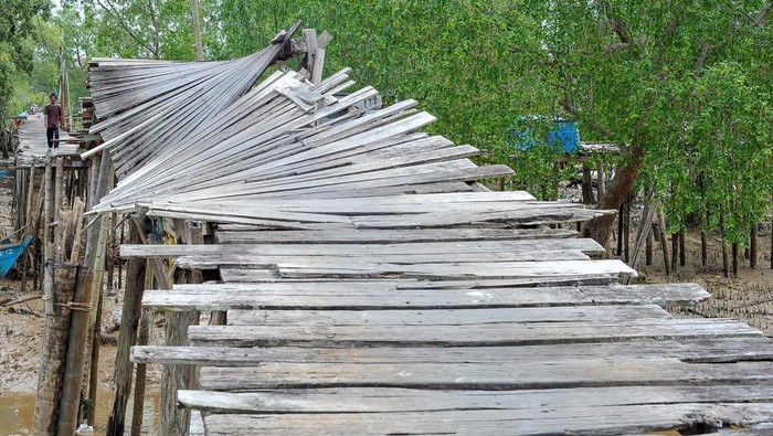 Warga berjalan di ujung jembatan yang rusak di Tanjung Solok, Tanjung Jabung Timur, Jambi, Rabu (24/5/2023). Jembatan yang dibangun dengan konstruksi panggung kayu sepanjang sekitar 300 meter di atas kawasan hutan bakau sejak belasan tahun lalu untuk menghubungkan beberapa RT di pesisir Kuala Jambi itu rusak dan tidak bisa dilewati sejak Selasa (23/5/2023) sehingga menghambat mobilitas warga. ANTARA FOTO/Wahdi Septiawan/foc.