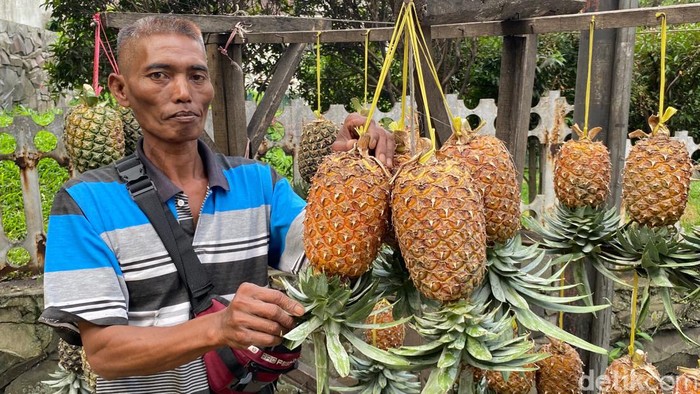 Dadang (48) penjual nanas di Bandung