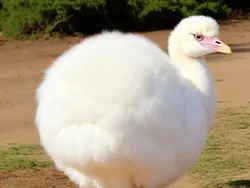 AI Bikin Hewan Buas Ini Jadi Lucu, Auto Gemes!