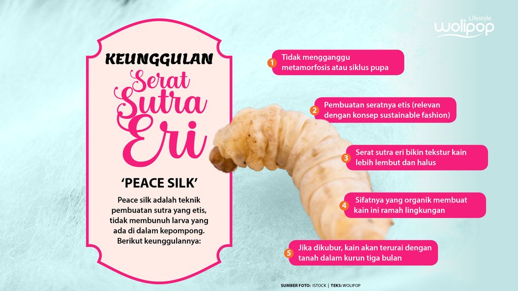 Infografis Sutra Eri Peace Silk