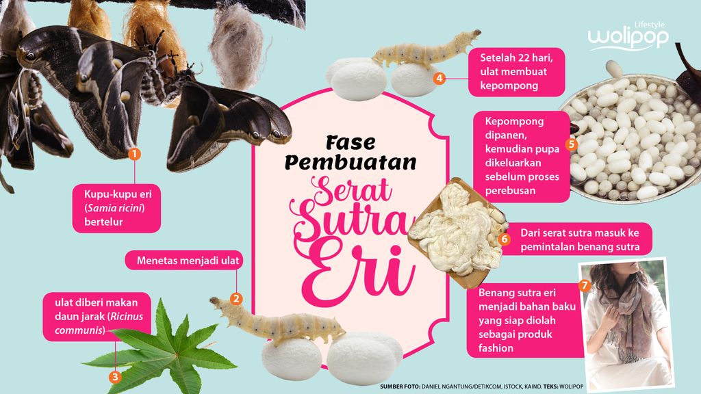 Infografis Sutra Eri Peace Silk