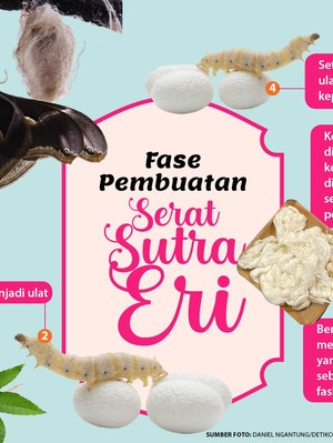 Fase Pembuatan Serat Sutra Eri untuk Tenun-Batik