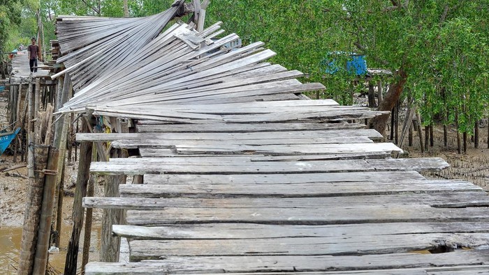 Warga berjalan di ujung jembatan yang rusak di Tanjung Solok, Tanjung Jabung Timur, Jambi, Rabu (24/5/2023). Jembatan yang dibangun dengan konstruksi panggung kayu sepanjang sekitar 300 meter di atas kawasan hutan bakau sejak belasan tahun lalu untuk menghubungkan beberapa RT di pesisir Kuala Jambi itu rusak dan tidak bisa dilewati sejak Selasa (23/5/2023) sehingga menghambat mobilitas warga. ANTARA FOTO/Wahdi Septiawan/foc.