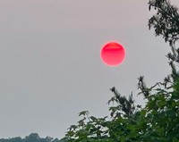 Matahari merah