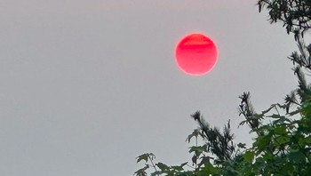 Sejumlah ahli mengkonfirmasi, perubahan warna Matahari menjadi merah terkait dengan kebakaran hutan yang melanda wilayah Alberta, Kanada. Foto: Daily Mail