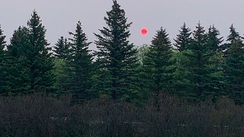 Ahli meteorologi menjelaskan bahwa partikel asap secara selektif menyebarkan panjang gelombang cahaya yang lebih pendek, memungkinkan sinar merah dan oranye mendominasi langit sehingga menghasilkan penampakan Matahari berwarna merah. Foto: Daily Mail