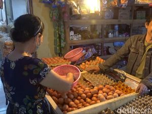 Jerit Pedagang dan Pembeli soal Mahalnya Harga Telur-Daging Ayam